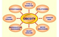 Is Obesity Really Genetic: To a Certain Extent